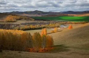 поселок Новогорный