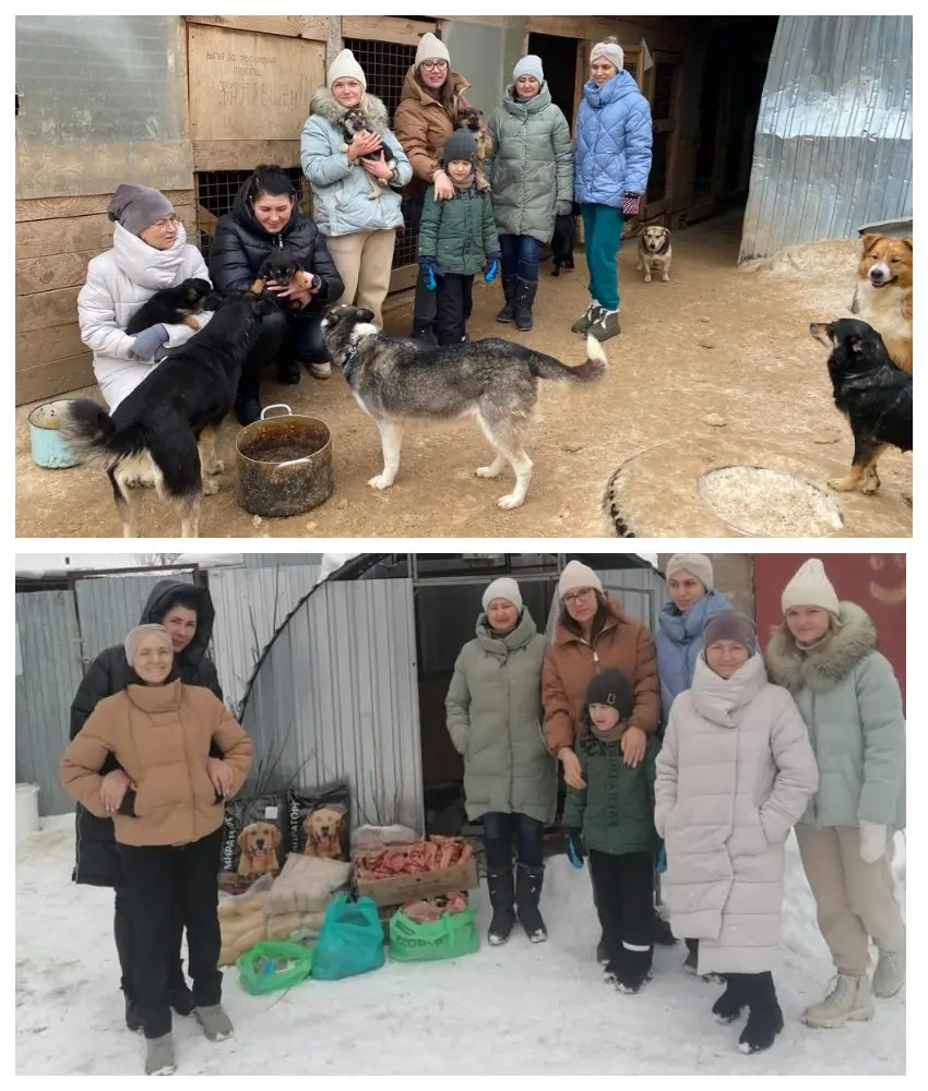 передача помощь приюту для животных.jpg