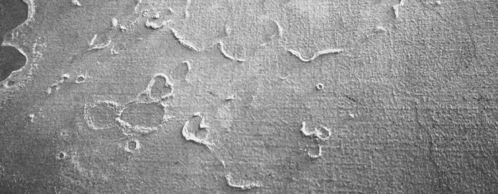 высол на бетоне.jpg высол на бетоне.jpg