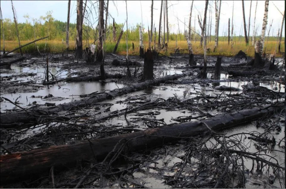 ППУ - сорбент нефти